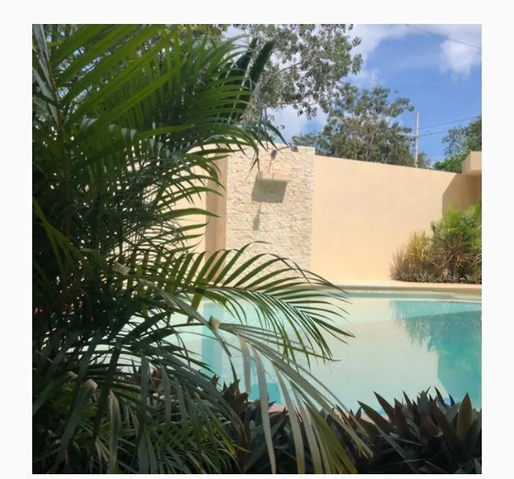 Hotel Boutique And Suites Kaban - Free Airport Transp - Free Continental Breakfast Tulum